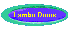 Lambo Doors