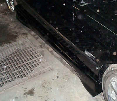 Animal Side skirt