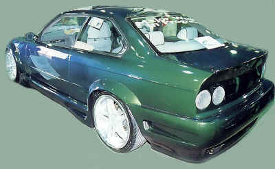Animal kit designed and fitted by Autofashion