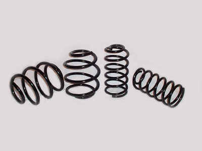 Autofashion Lowering Springs - another first.