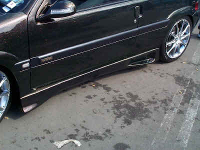 Saxo Animal kit from Autofashion